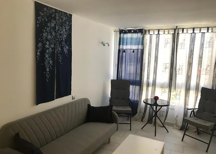 Aloe Suite Laurent-Gael