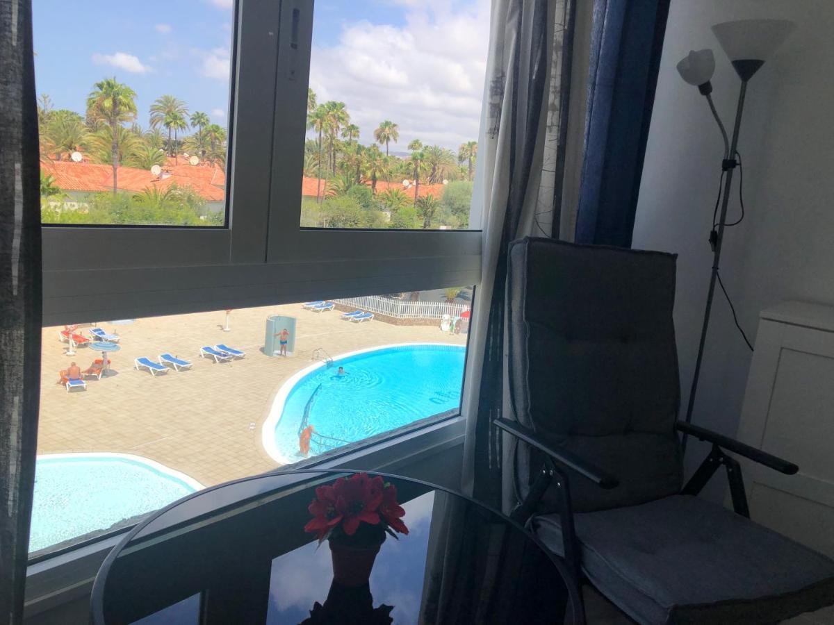 Aloe Laurent-gael * Playa del Inglés